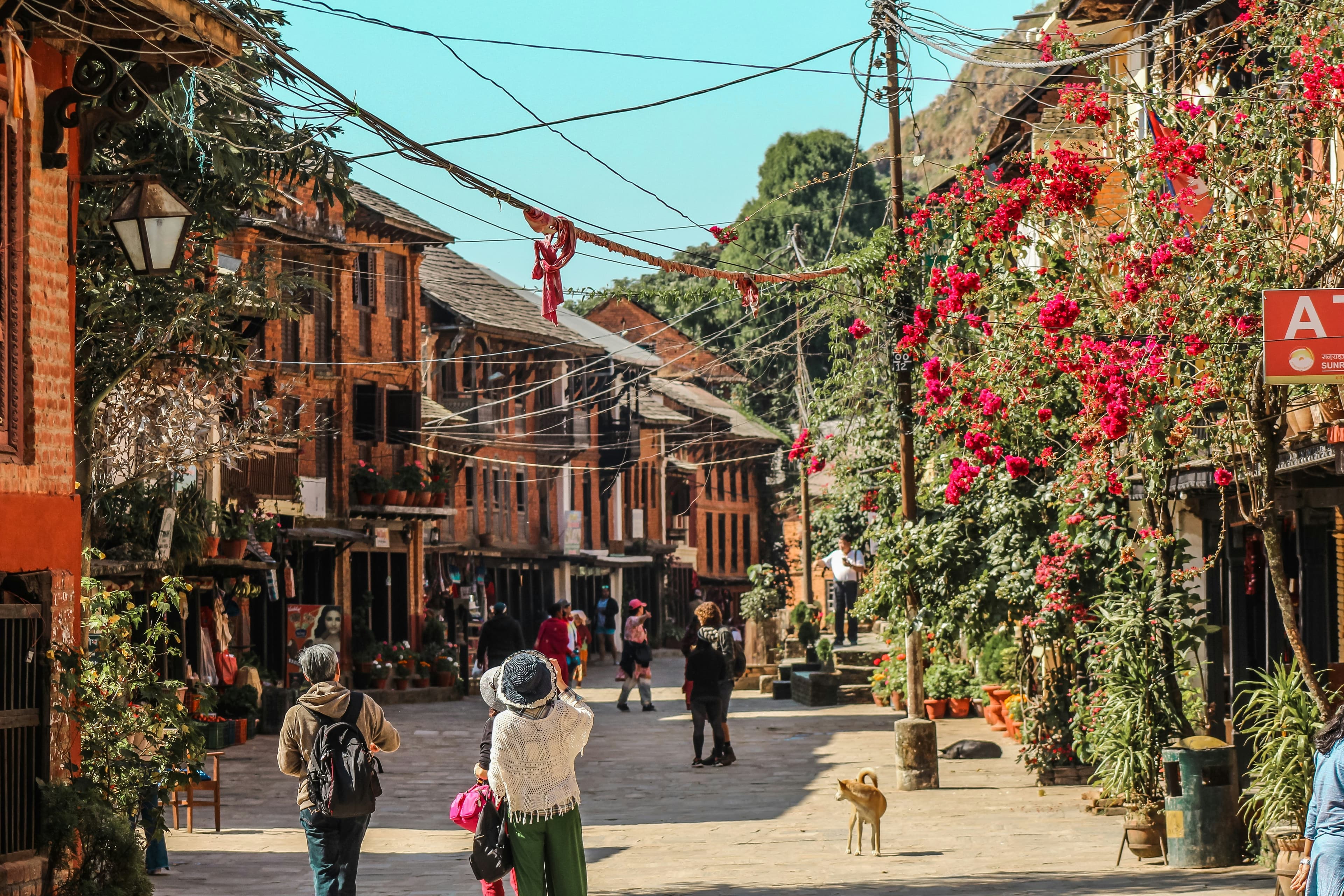 samrat khadka YlQvtieHmQg unsplash