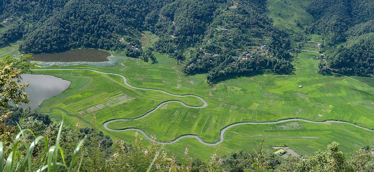 रुपा ताल र धानका खेतहरू
